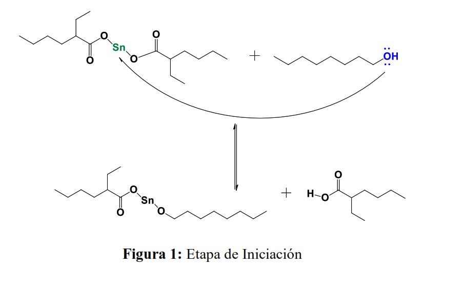 Síntesis de Policaprolactona de alto peso molecular mediante polimerización por apertura de anillo (ROP).